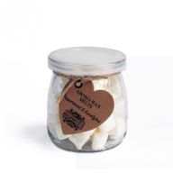Aroma Wax Melts - Peppermint & Eucalyptus