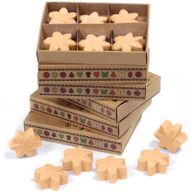 Box of 6 Wax Melts - Midnight Jasmine