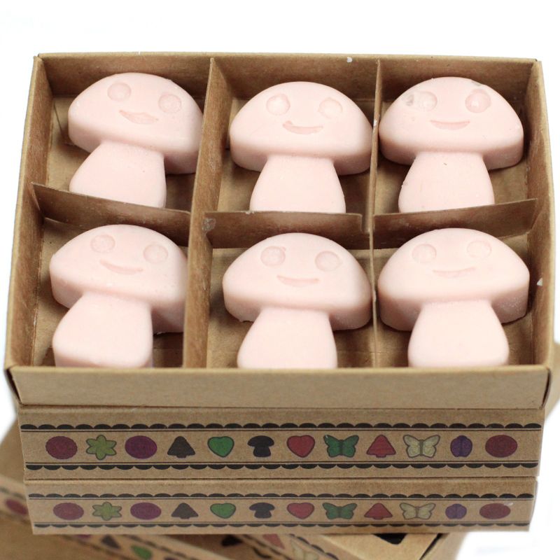 Box of 6 Wax Melts - Old Ginger