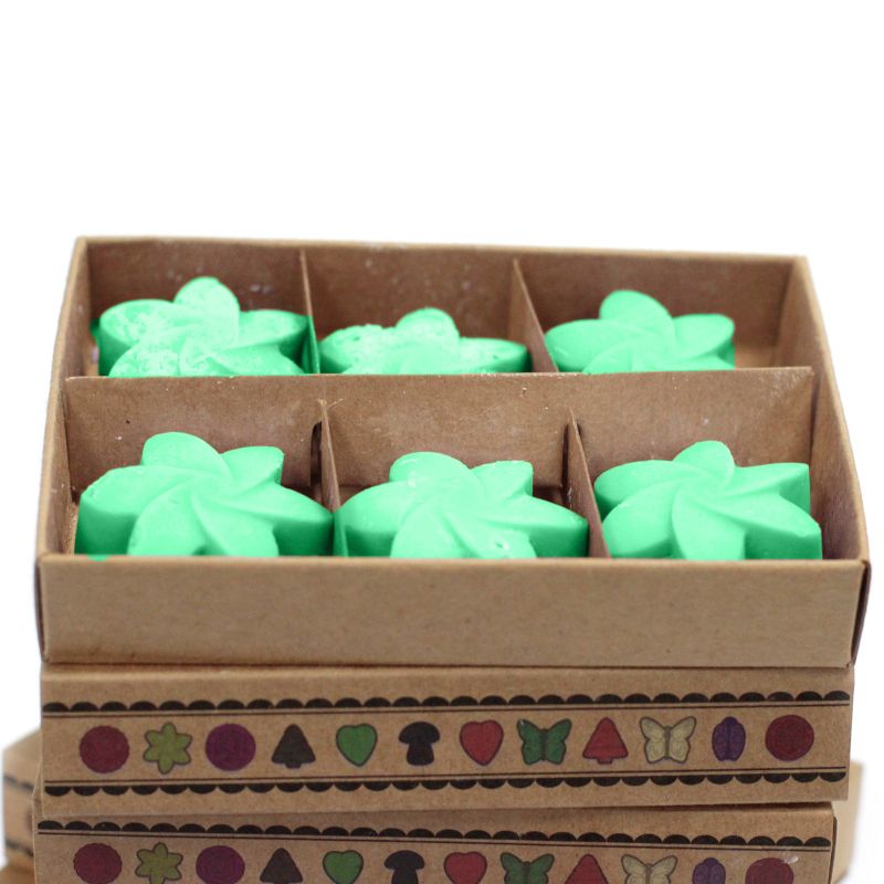 Box of 6 Wax Melts - Hidden Garden