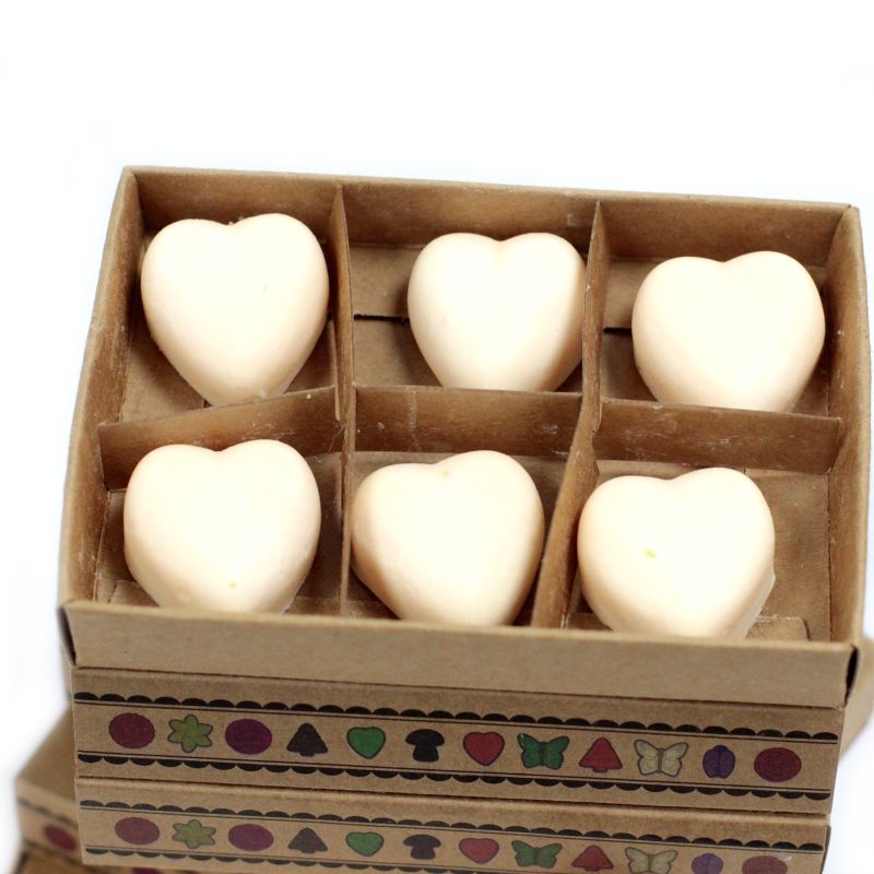 Box of 6 Wax Melts - Cinnamon & Orange