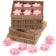 Box of 6 Wax Melts - Japanese Magnolia
