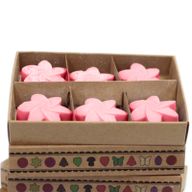 Box of 6 Wax Melts - Japanese Magnolia