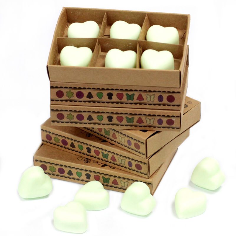 Box of 6 Wax Melts - Mint & Menthol