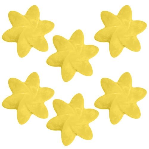 Big Pack Nat-Wax Melts - Mango Fruits