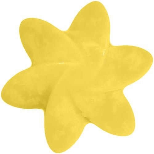 Big Pack Nat-Wax Melts - Mango Fruits