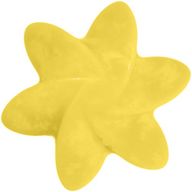 Big Pack Nat-Wax Melts - Mango Fruits