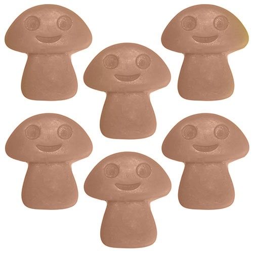 Big Pack Nat-Wax Melts - Old Ginger