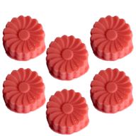 Big Pack Nat-Wax Melts - Watermelon Fresh