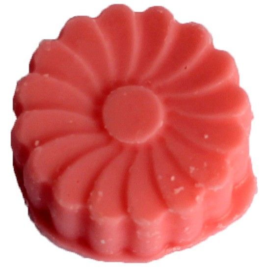 Big Pack Nat-Wax Melts - Watermelon Fresh