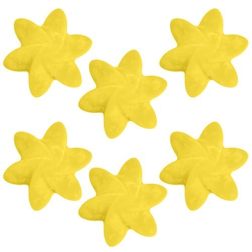 Big Pack Nat-Wax Melts - Japanese Magnolia