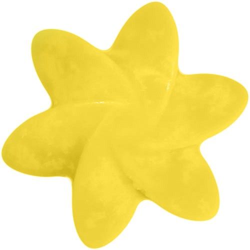 Big Pack Nat-Wax Melts - Japanese Magnolia