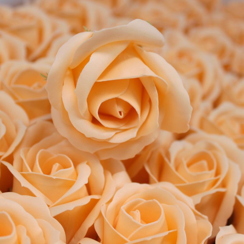 Flower Soap for Craft - Med Rose - Peach