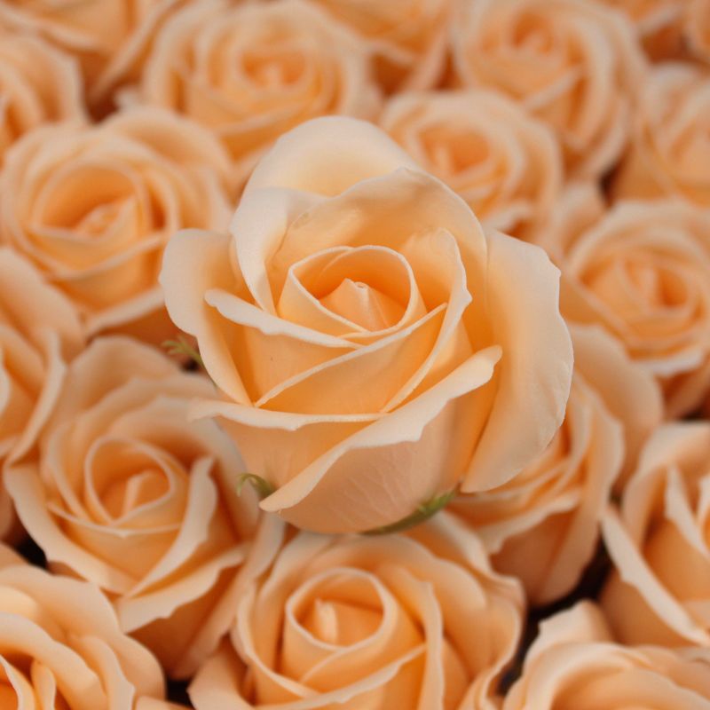 Flower Soap for Craft - Med Rose - Peach