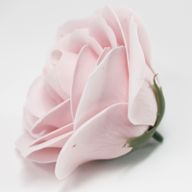 Flower Soap for Craft - Lrg Rose - Pink