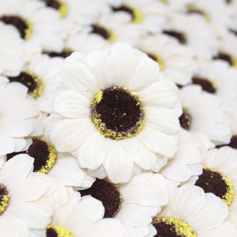Flower Soap for Craft - Sml Sunflower - Ivory
