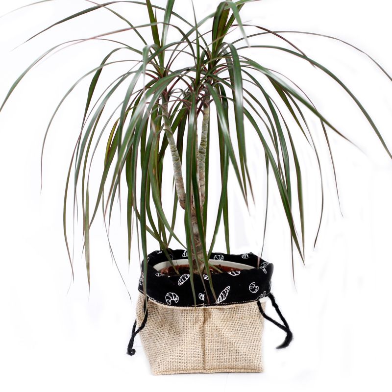 Large Black Lining Gift Bag