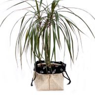 Large Black Lining Gift Bag