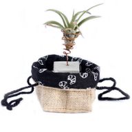 Small Black Lining Gift Bag
