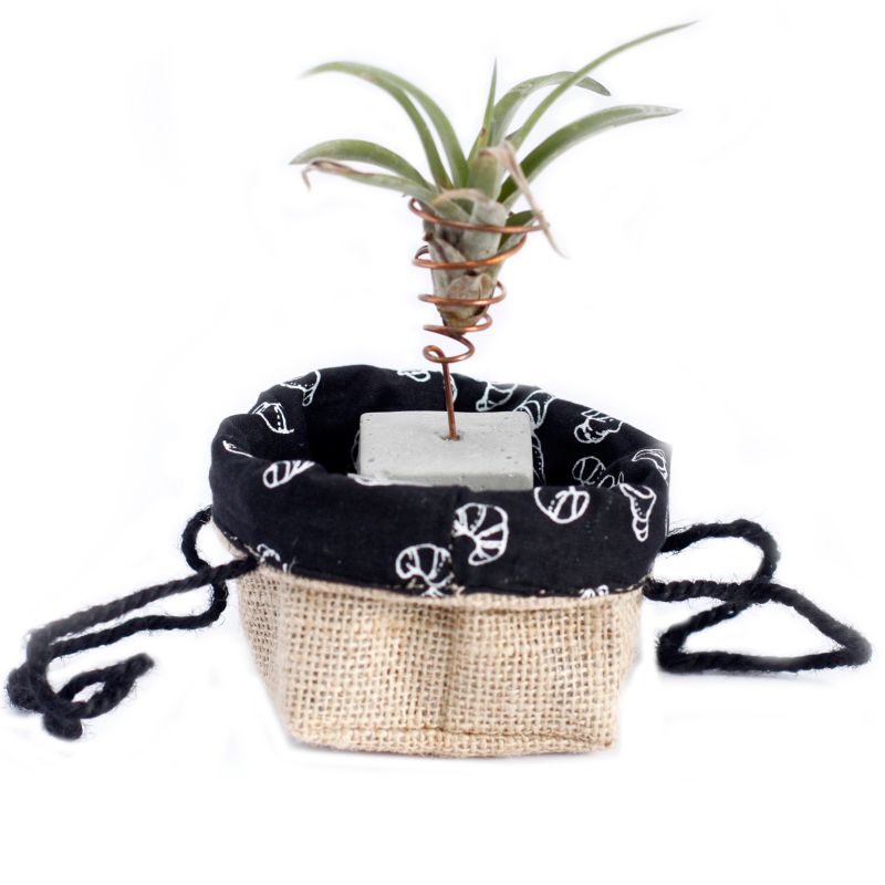 Small Black Lining Gift Bag