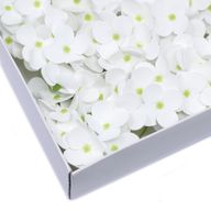 Craft Soap Flowers - Hydrangea - White