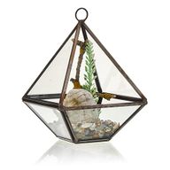 Glass Terrarium - Small Pyramid
