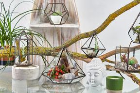 Glass Terrarium - Small Pyramid