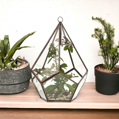 Glass Terrarium - Large Pyramid