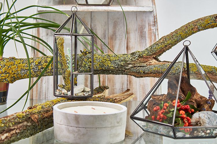 Glass Terrarium - Large Pentagon