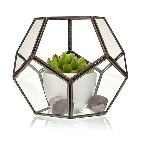 Glass Terrarium - Large Pentagon