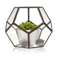 Glass Terrarium - Large Pentagon