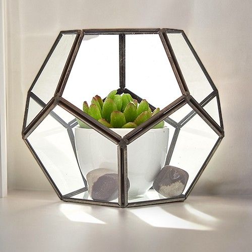 Glass Terrarium - Large Pentagon