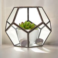 Glass Terrarium - Large Pentagon