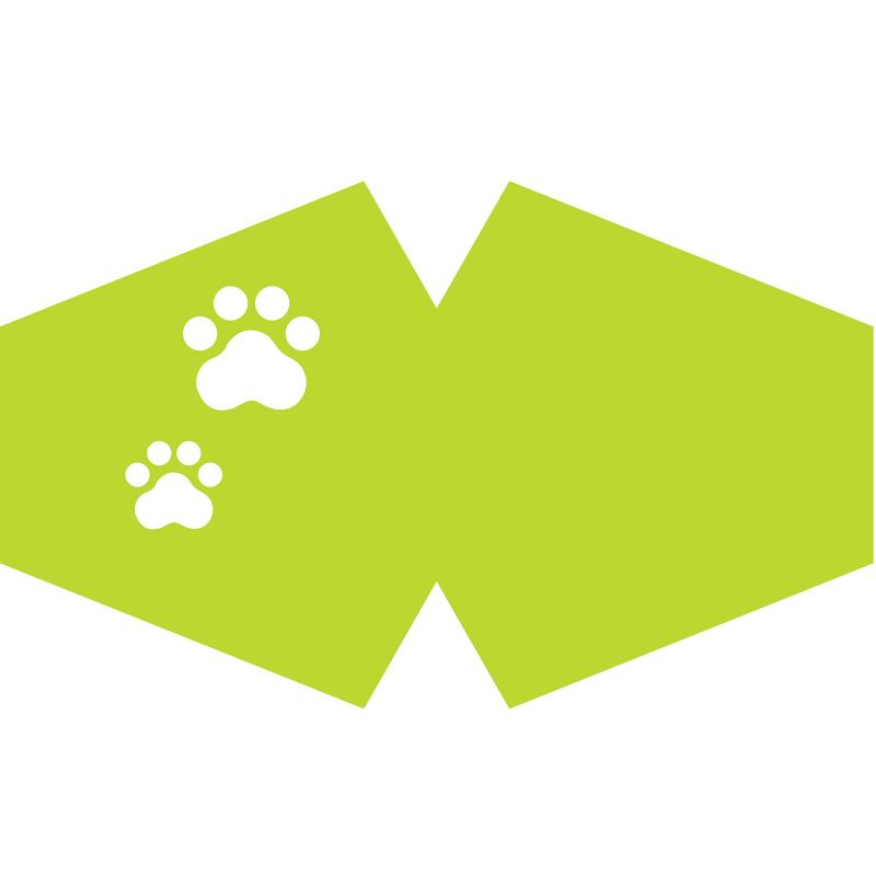 Reusable Fashion Face Mask - Pet Feet (Adult)