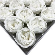 Craft Soap Flower - Ext Large Peony - White