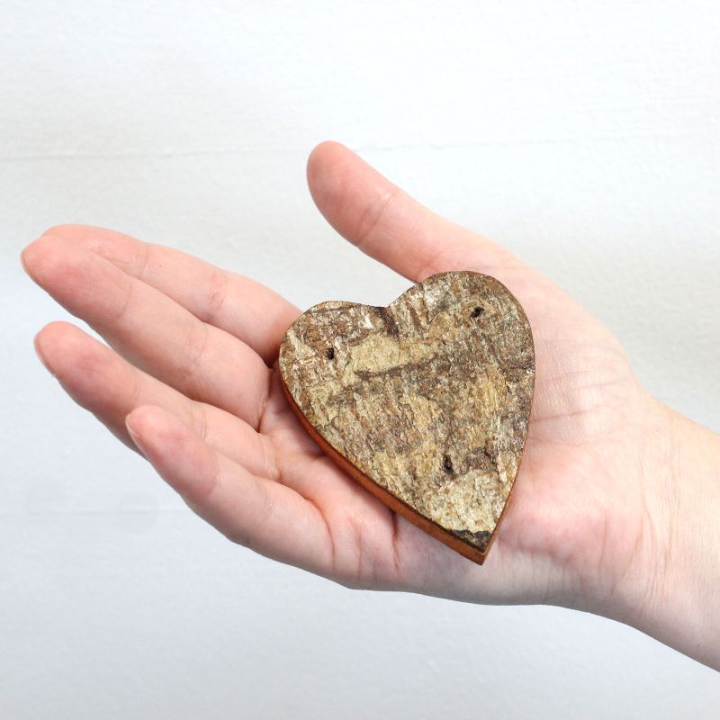 Rustic Bark Number - Display Box & Starter 40 x 12 - 7cm
