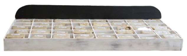 Rustic Bark Number - Display Box & Starter 40 x 12 - 7cm