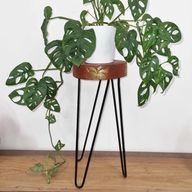 Albasia Wood Plant Stand - Whitewash & Gold Detail