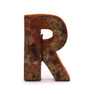 Rustic Bark Letter   - "R"  - 7cm