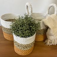 Seagrass Basket Set - Orange / Natural / White