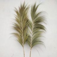 Rayung Grass Natural - 2m