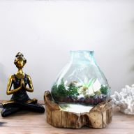 Molten Glass Large Fish Tank 3.7 litre (with light cavity)- 30cm (UK Plug)