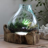 Molten Glass Large Fish Tank 3.7 litre (with light cavity)- 30cm (UK Plug)