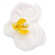 Craft Soap Flower - Orchid - White