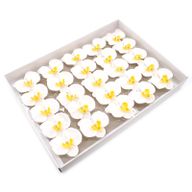 Craft Soap Flower - Orchid - White