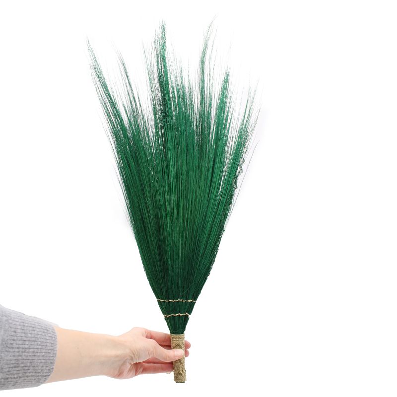 Set 4 - Pampus Long Broom - Vivid colours