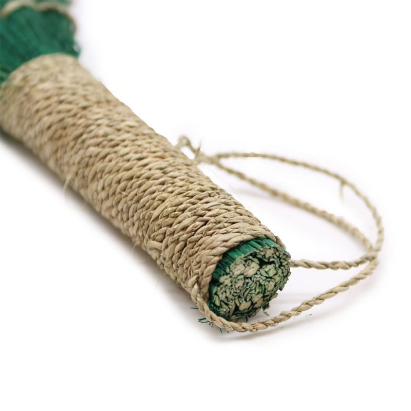 Set 4 - Pampus Long Broom - Vivid colours