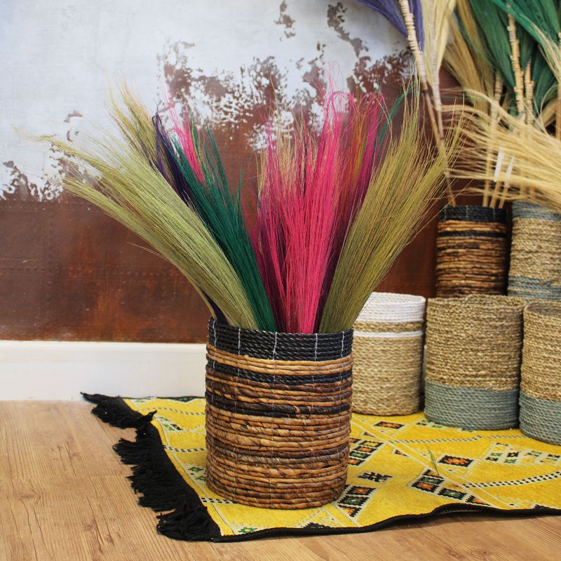 Set 4 - Pampus Broom - Natural