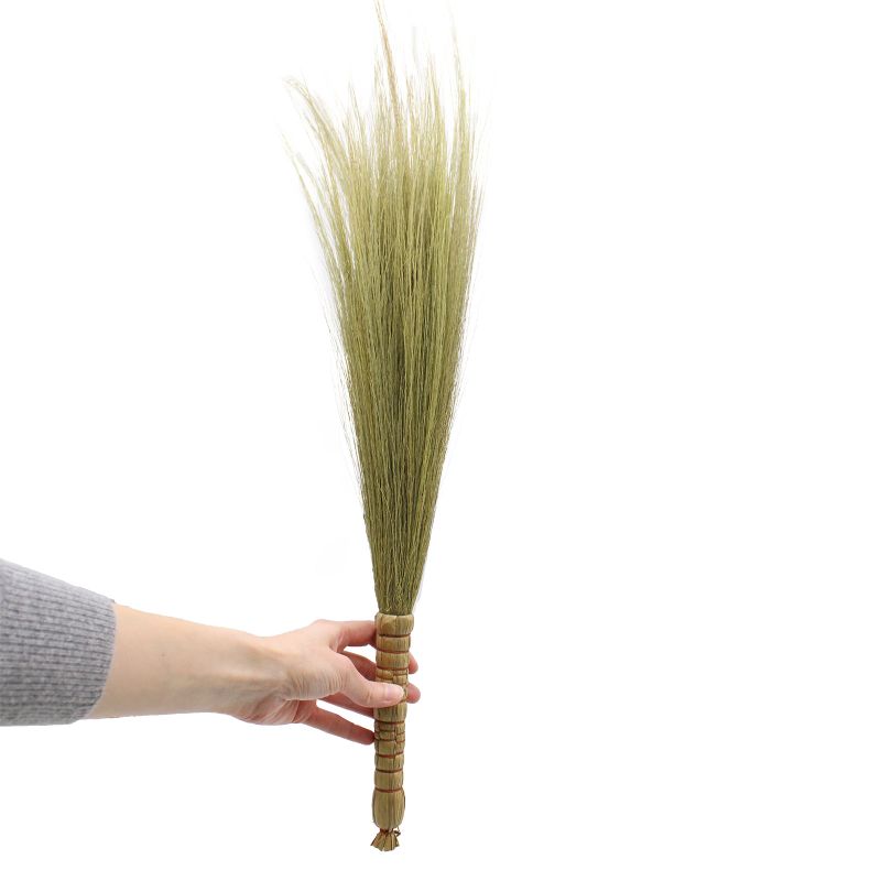 Set 4 - Pampus Broom - Natural