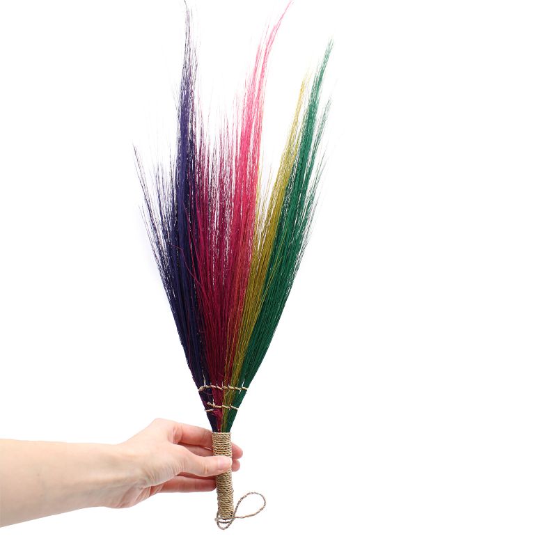 Set 4 - Pampus Broom - Rainbow Colours
